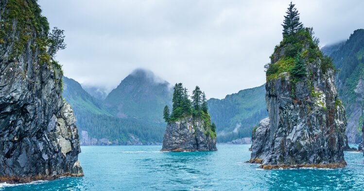 Wildlife spotting of sea otters in Kenai Fjords' clear waters 