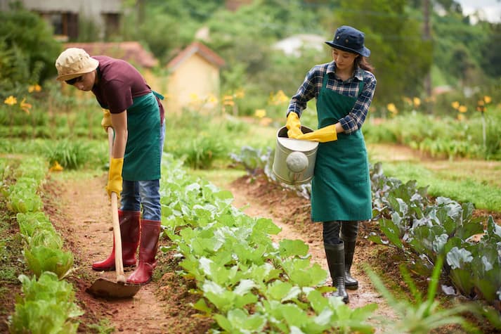 Organic Farming