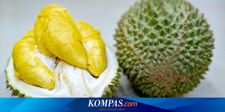 karakteristik buah durian