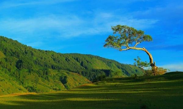 Bukit Beta: Surga Tersembunyi di Nusa Tenggara Timur yang Bikin Rindu Pulang