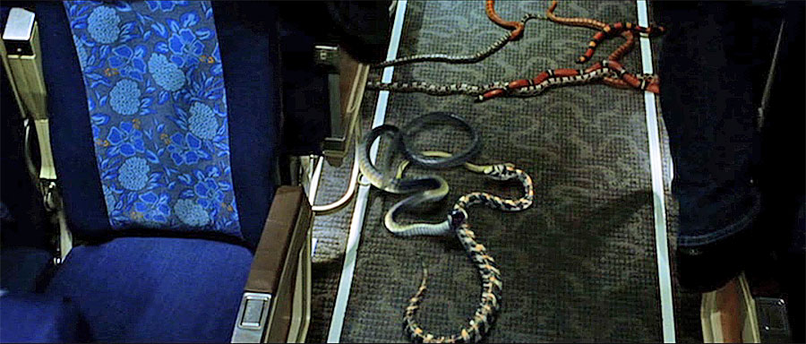 sinopsis Snakes on a Plane
