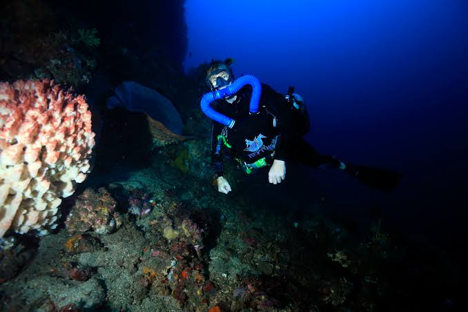 Bali Dive Trek
